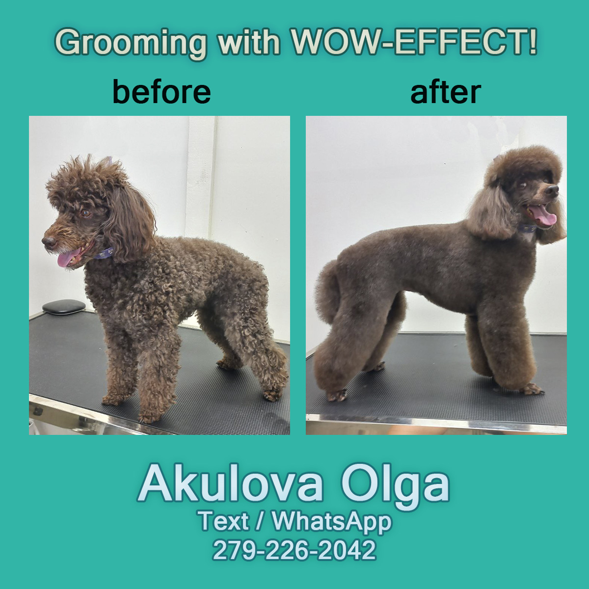 500 Roseville Pkwy, Roseville